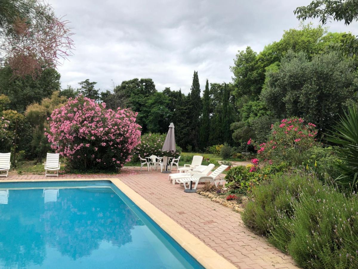 Duplex 130M2 Dans Un Mas Entoure De Vergers - Piscine Saint-Feliu-d'Avall Kültér fotó